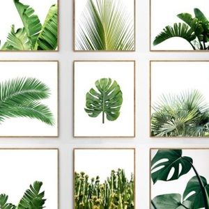 Meet your Posher, Hiileilani